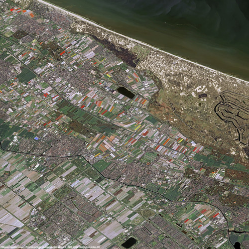 Pléiades - Hoofddorp fields of poppies, Netherland