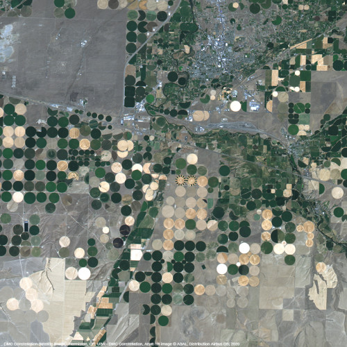 DMC Constellation - Crop fields in Oregon