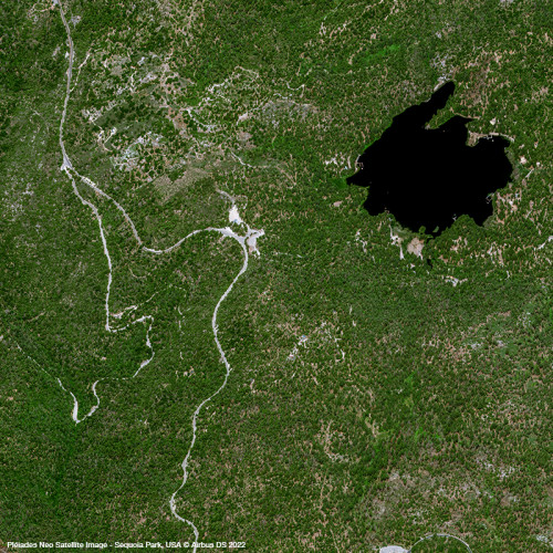 Pléiades Neo – Sequoia Park, USA