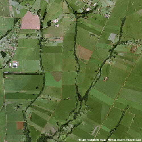 Pléiades Neo - Sugar Cane in Brazil , Maringa, Parana