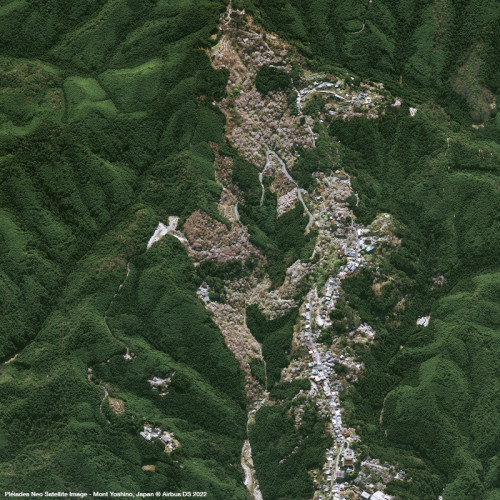 Pléiades Neo - Mount Yoshino, Japan