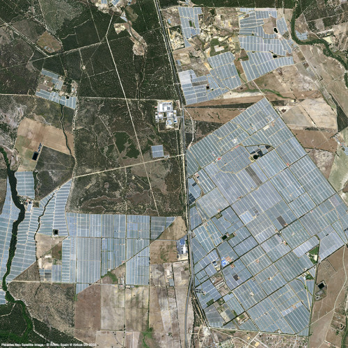 Pléiades Neo - El Rocio, Spain