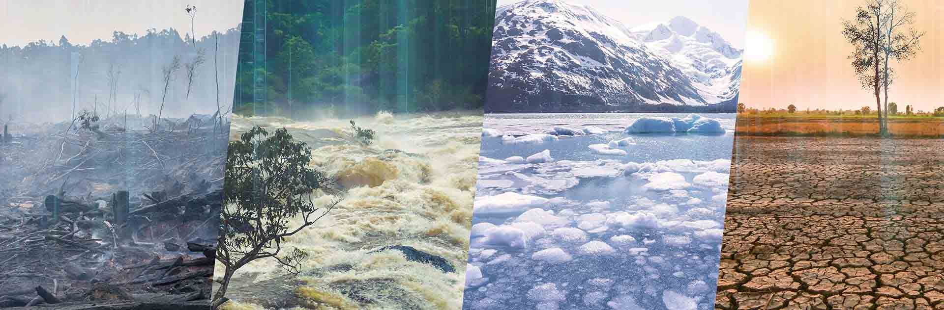 Satellite Imagery for Climate Risk Finance