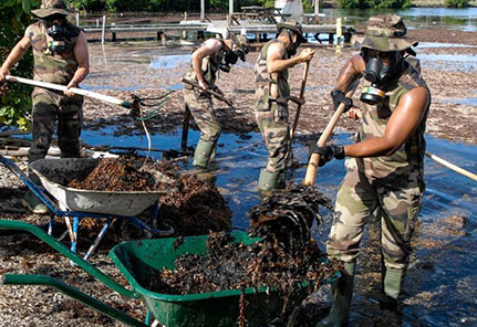 People who remove the pollution wearing mask to protect themselves