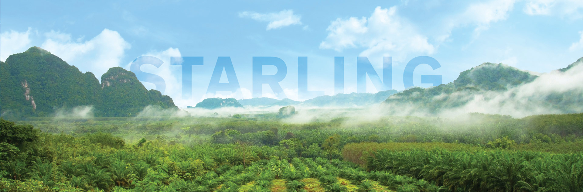 	Verify your forest impact with Starling, Airbus forest monitoring services