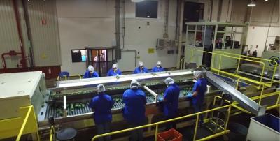 	Visual inspection of avocados before packing	&nbsp;