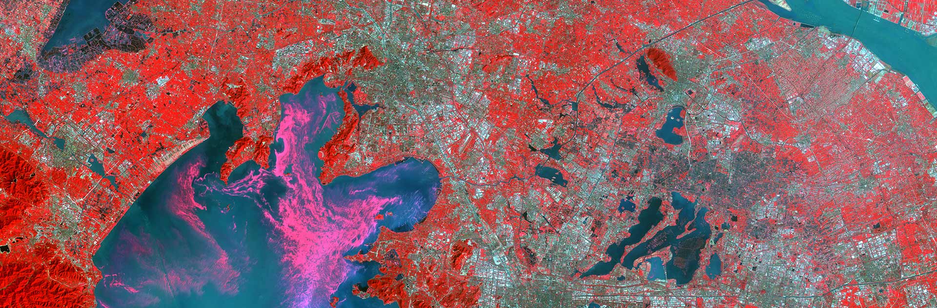 DMC Constellation Satellite Image - Algal Bloom - Taihu Lake