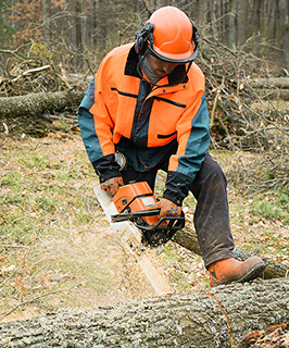 Forest worker cutting down trees close to railway lines Forest worker cutting down trees close to railway lines