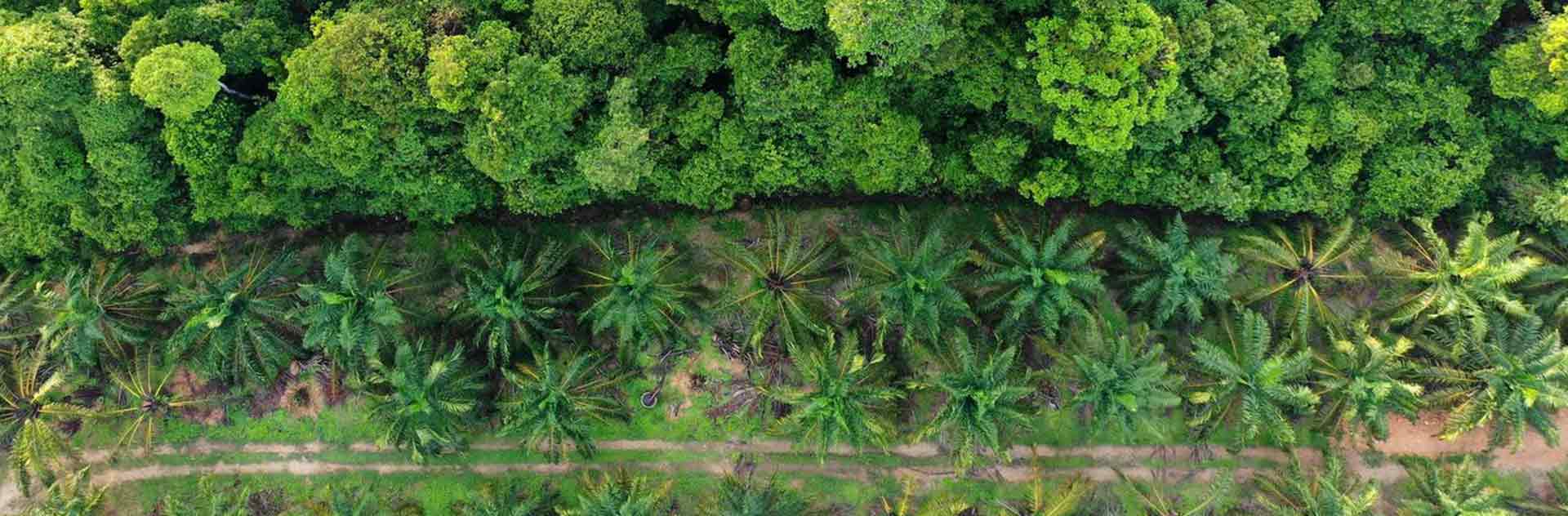 The protection of biodiversity is a major issue to be solved in ensuring the future of humankind.