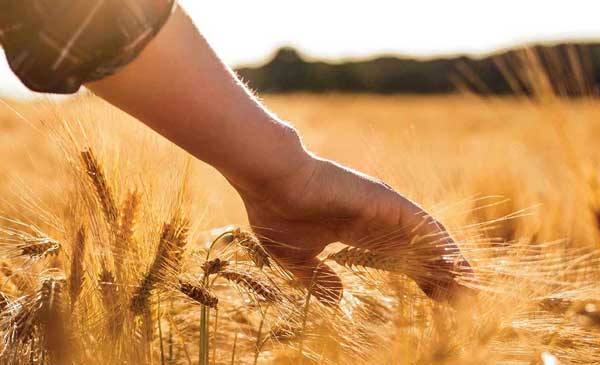 Supporting sustainable farming practices