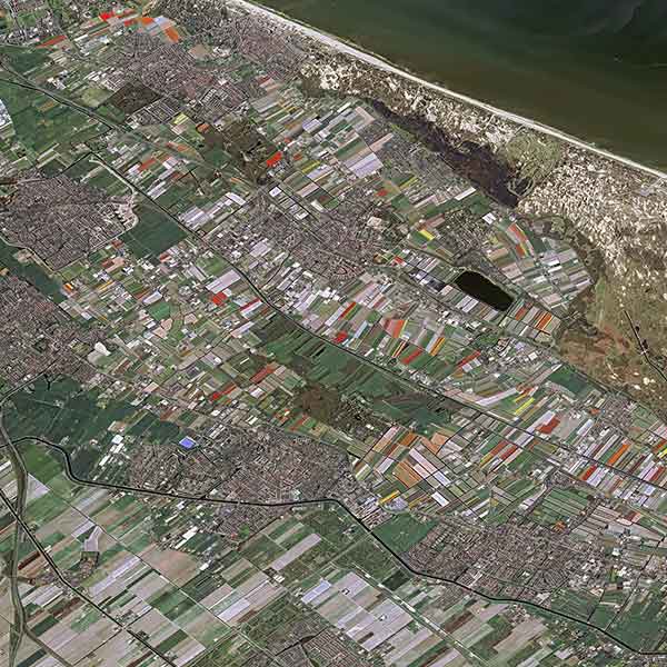 Pléiades - Hoofddorp fields of poppies, Netherland50cm resolution - Airbus DS 2020