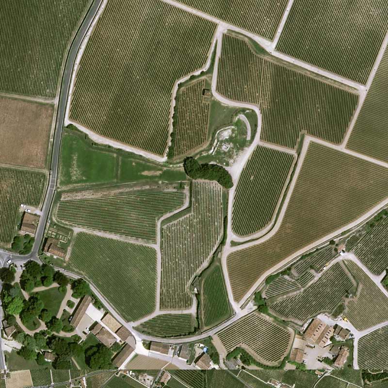 Pléiades Neo satellite image - Vines in Saint-Emilion, France - 30cm resolution