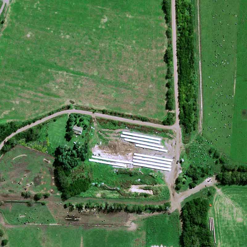 &nbsp;Pléiades Neo image shows cattle breeding concentrated around farms and soybean cultivation spread out between them on huge plots