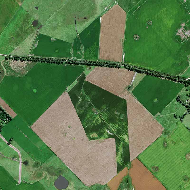 &nbsp;Pléiades Neo image shows cattle breeding concentrated around farms and soybean cultivation spread out between them on huge plots