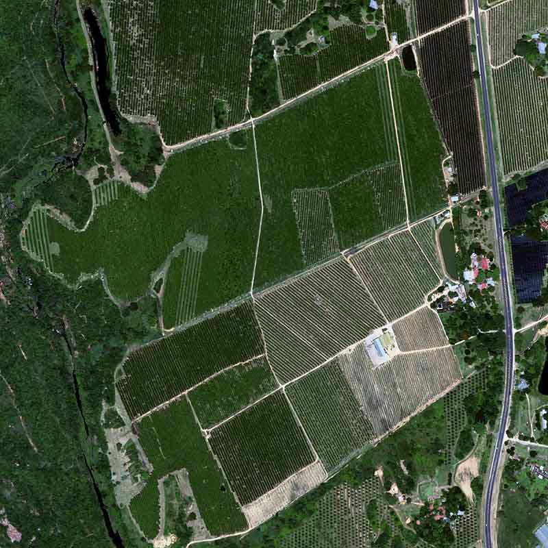 Pléiades Neo - Citrus in South Africa, Tekwane - 30cm resolution