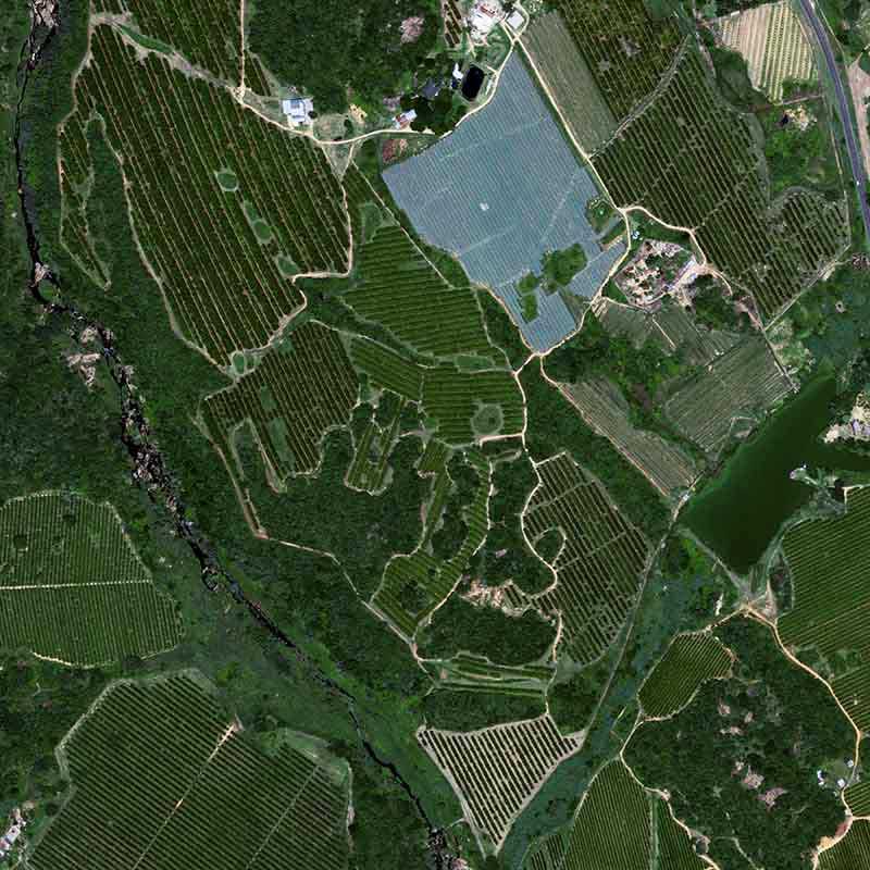 Pléiades Neo - Citrus in South Africa, Tekwane - 30cm resolution