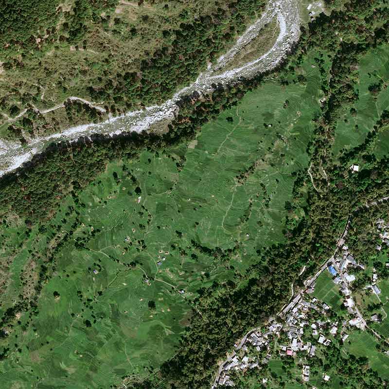 Discover this Chinese tea, introduced to India in 1852, which quickly acquired a prestigious reputation.
&nbsp;