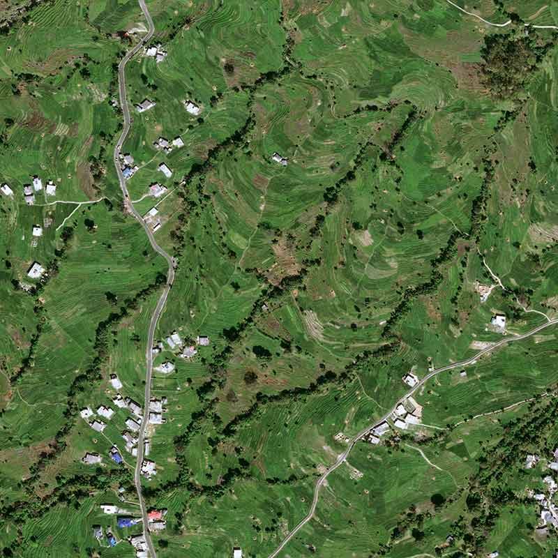 Discover this Chinese tea, introduced to India in 1852, which quickly acquired a prestigious reputation.
&nbsp;