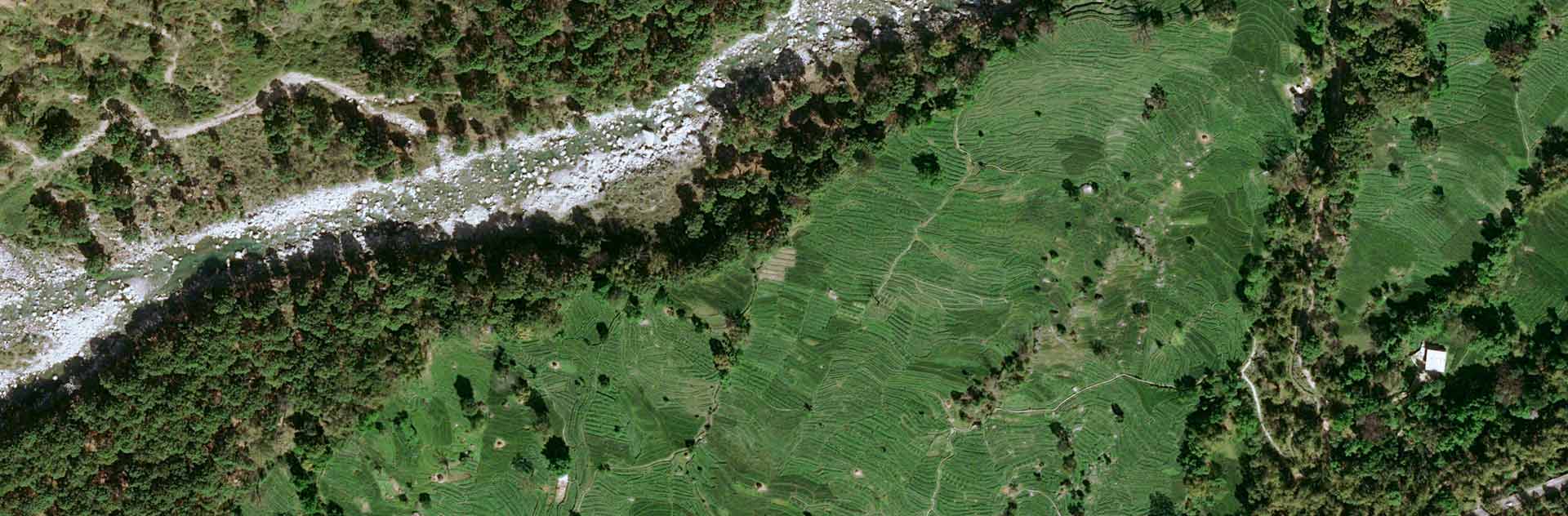 Discover this Chinese tea, introduced to India in 1852, which quickly acquired a prestigious reputation.
&nbsp;