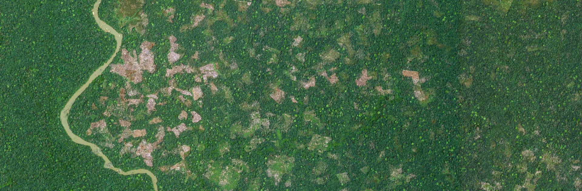 Satellite Image Pléiades,&nbsp;&nbsp;Ivory Coast Tempo Liberia Forest&nbsp; February 2019 - 50cm resolution