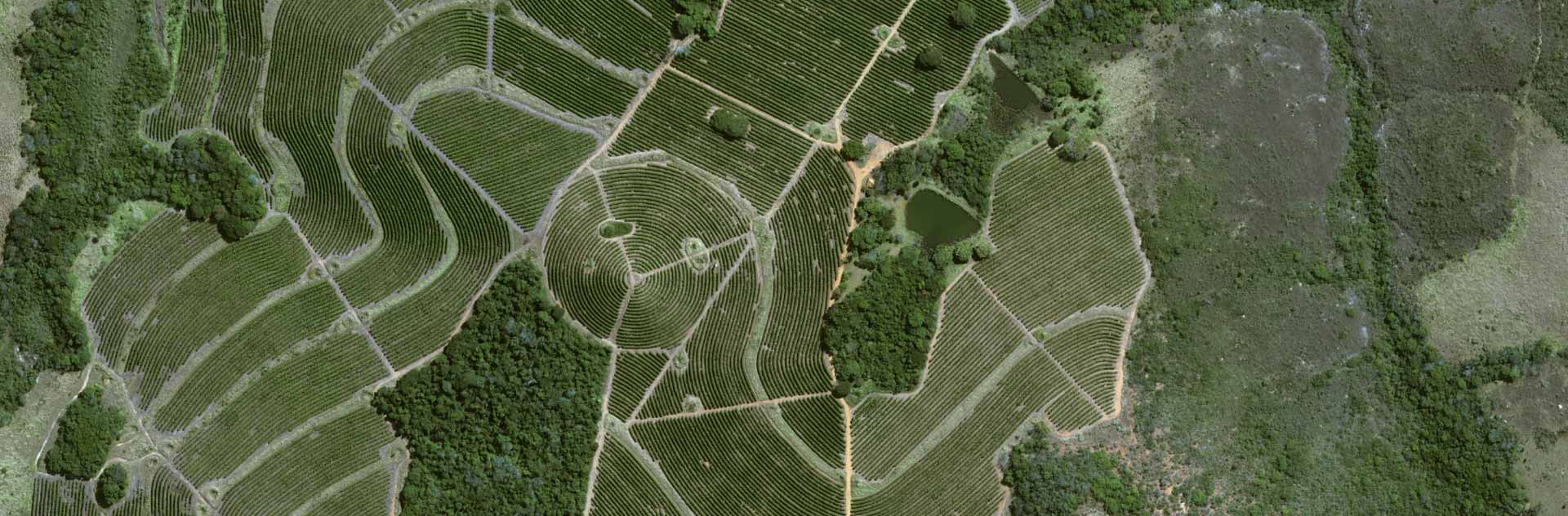 Nestlé to pilot Airbus Intelligence new very high-resolution Pléiades Neo satellites to monitor its reforestation efforts in its sourcing locations remotely and in real time.