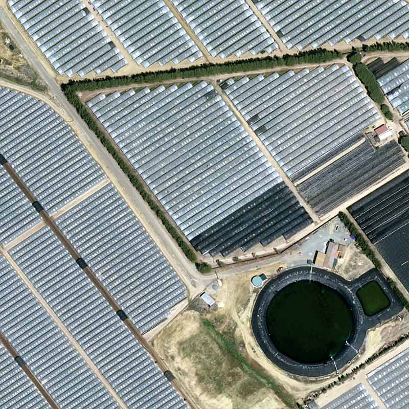 Pléiades Neo - El Rocio, Spain - 30cm resolution - Strawberries at the mouth of the Guadalquivir