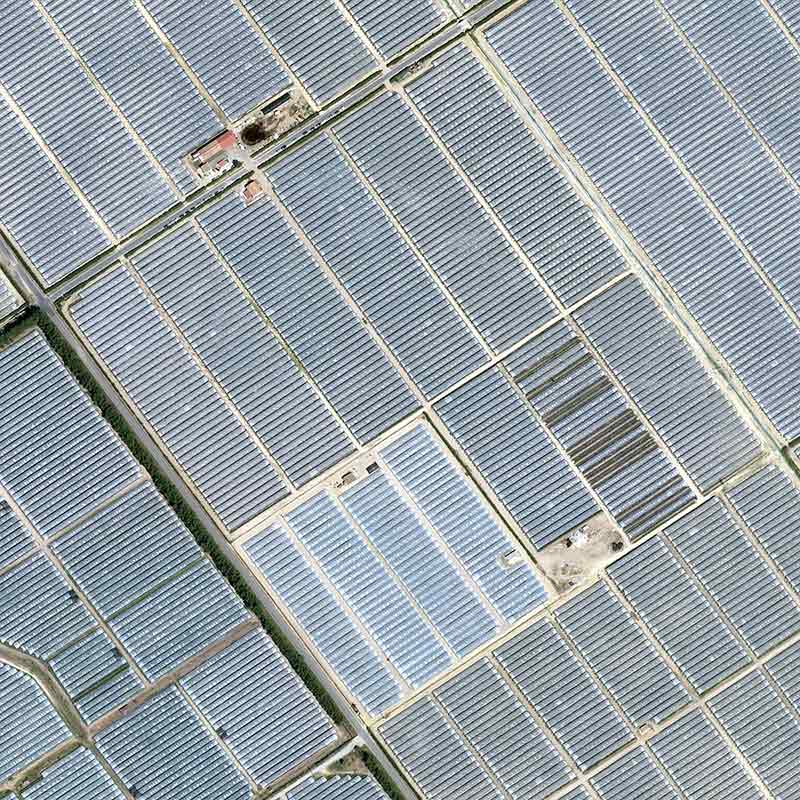 Pléiades Neo - El Rocio, Spain - 30cm resolution - Strawberries at the mouth of the Guadalquivir