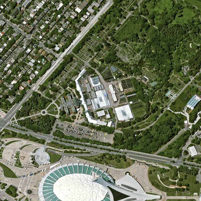 Pléiades Neo satellite image &nbsp;- The Botanical Garden of Montreal, Canada - 30cm resolution