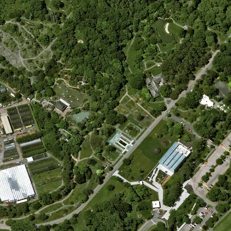 Pléiades Neo satellite image &nbsp;- The Botanical Garden of Montreal, Canada - 30cm resolution