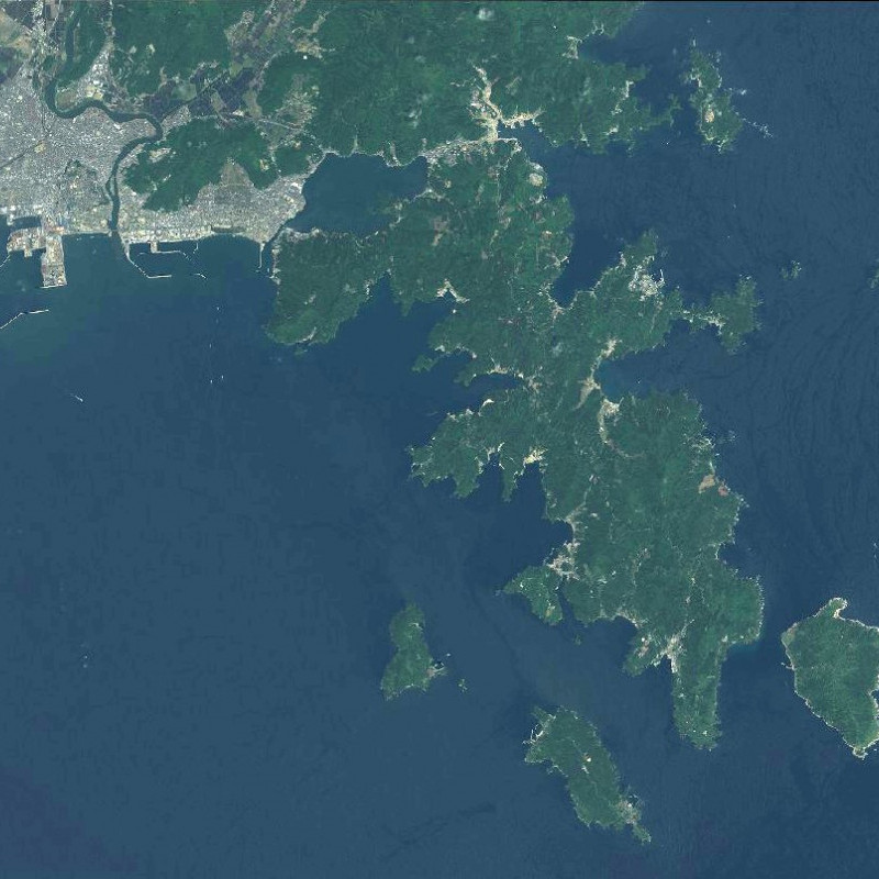 SPOT 6 1.5m Primary Pan-sharpened (12 bits)