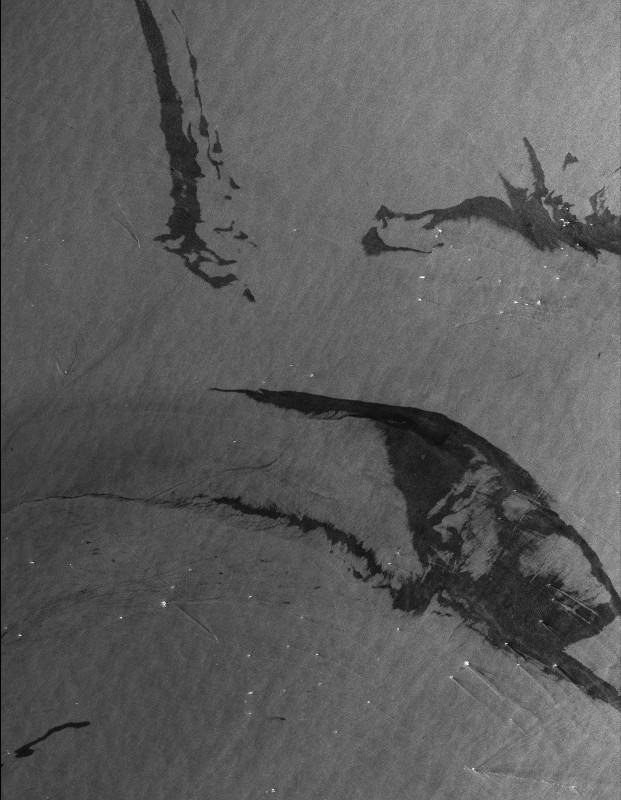 TerraSAR-X StripMap - USA MGD RE VV