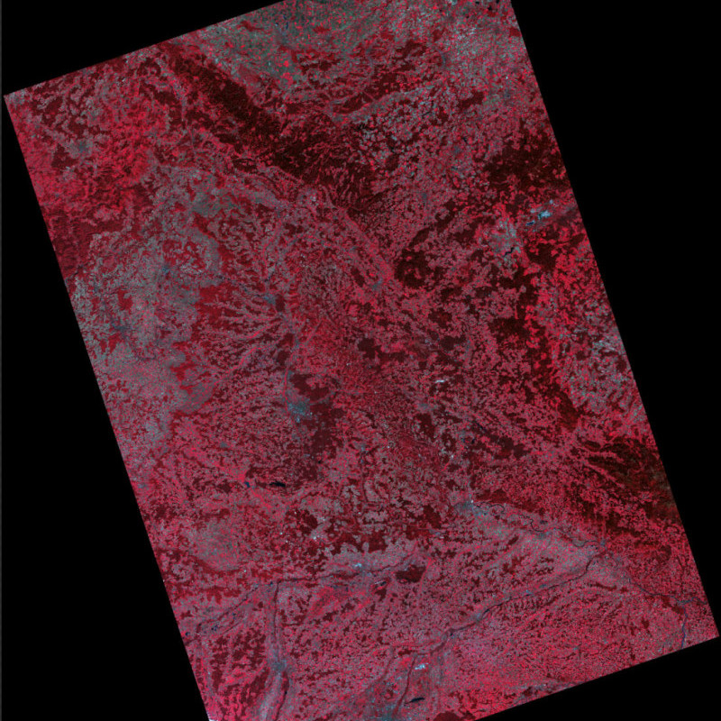 UK-DMC2 Satellite Image - Germany