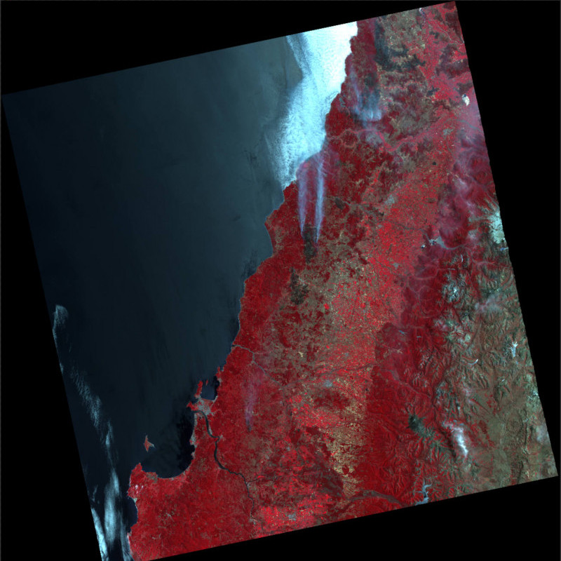 UK-DMC2 Satellite Image - Wildfires in Chile