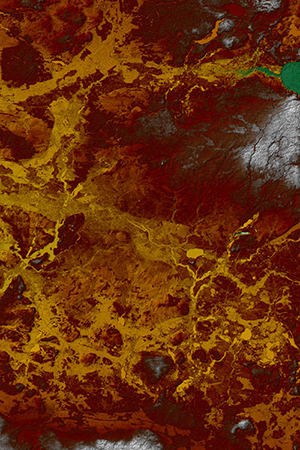 WorldDEM of Berlin, Germany - DSM