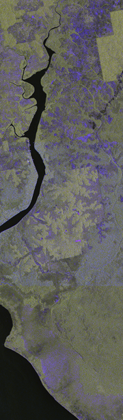 Indonesia, Pangkalan Bun - SSC