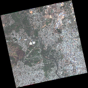 Vision-1 Standard Product: Ortho Reflectance 