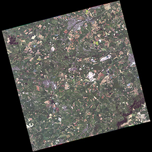 Vision-1 Standard Product: Ortho Reflectance